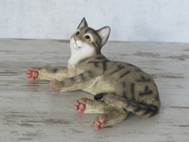 kattenbeeldje bruin tabby liggend