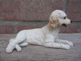 beeldje Labradoodle blond