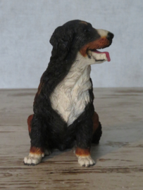 beeldje Berner Sennenhond zittend