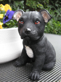 beeldje/asbeeldje/urn Staffordshire Terriër puppy zwart