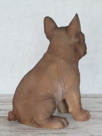 beeld/asbeeld/urn Franse Bulldog beige | 30 cm