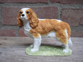 beeldje Cavalier King Charles spaniel blenheim