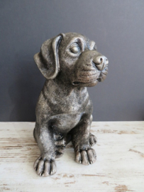 asbeeld/urn Rottweiler | 24 cm