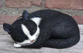 kattenbeeldje 'pleasant dreams' zwart-wit