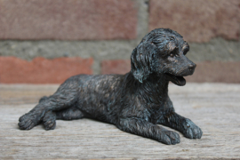 beeldje Labradoodle zwart