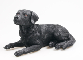 beeld/asbeeld/urn Labrador zwart 41 cm