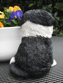 beeldje/asbeeldje/urn Border Collie puppy