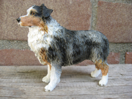 beeldje Australian Shepherd blue merle