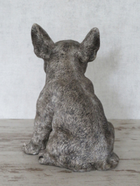 asbeeld/urn Engelse Bull Terriër | 17,5 cm