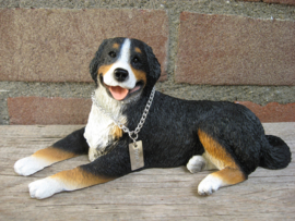 beeldje Berner Sennenhond liggend