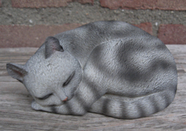 kattenbeeldje 'pleasant dreams' grijs tabby