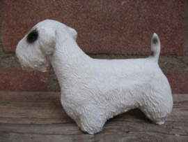 beeldje Sealyham Terrier