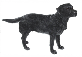 beeldje Labrador zwart staand