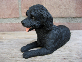 beeldje Labradoodle zwart