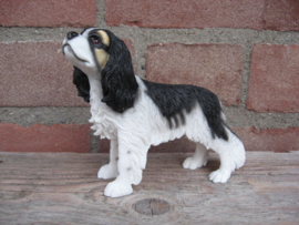beeldje Cavalier King Charles spaniel tricolour