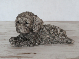 asbeeldje/urn Cockapoo puppy