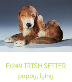 beeld Ierse Setter puppy liggend