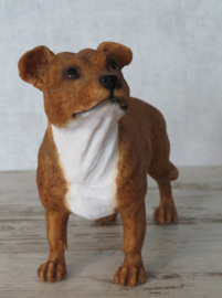 beeldje Staffordshire Bull Terriër bruin