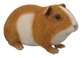 beeldje/asbeeldje/urn Cavia gladhaar bruin-wit