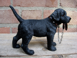 beeldje Labrador zwart met riem staand
