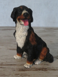 beeldje Berner Sennenhond zittend