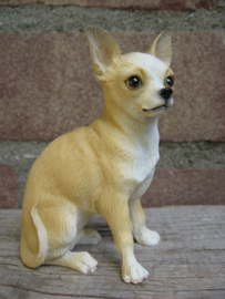 beeldje Chihuahua korthaar tan-wit