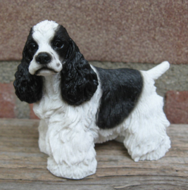 beeldje Amerikaanse Cocker spaniel zwart-wit