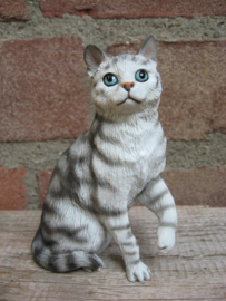 beeldje zittende kat grijs tabby