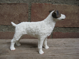 beeldje Jack Russell ruwhaar wit-bruin