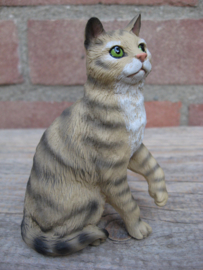 beeldje zittende kat bruin tabby