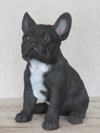 beeld/asbeeld/urn Franse Bulldog zwart | 30 cm