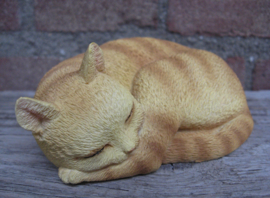 kattenbeeldje 'pleasant dreams' rood tabby