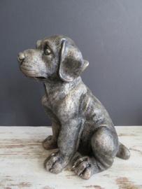 asbeeld/urn Rottweiler | 24 cm