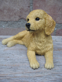 beeldje Goldendoodle