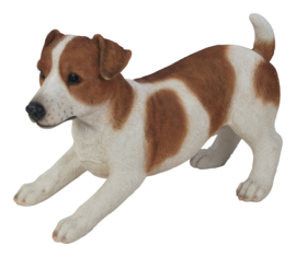 beeld Jack Russell reu wit-tan | 38 cm