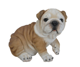 beeld/asbeeld/urn Engelse Bulldog