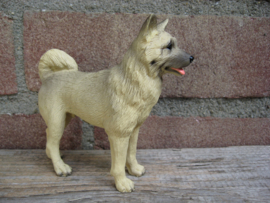 beeldje Akita fawn