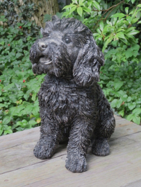 asbeeld/urn Labradoodle