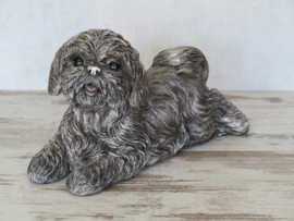 asbeeld/urn Shih Tzu | 35 cm