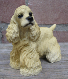 beeldje Amerikaanse Cocker spaniel blond