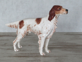 vintage beeldje Ierse Setter rood-wit 30 cm