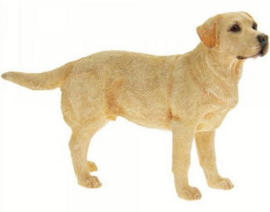 beeldje Labrador blond staand