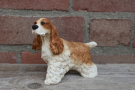 beeldje Amerikaanse Cocker spaniel bruin-wit