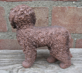 beeldje Labradoodle chocolate