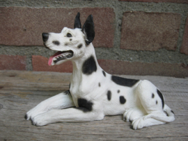 beeldje Duitse Dog liggend harlequin