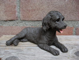 beeldje Labradoodle chocolate