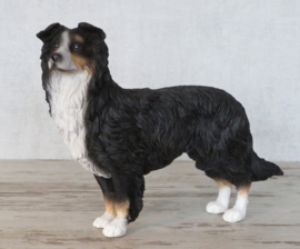 beeldje Border Collie tricolour