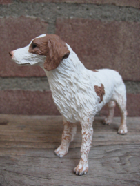 beeldje Bretonse/Brittany spaniel wit-bruin