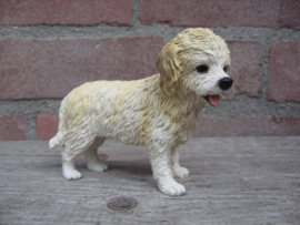 beeldje Cockapoo blond