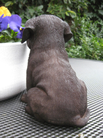 beeldje/asbeeldje/urn chocolate Labrador puppy